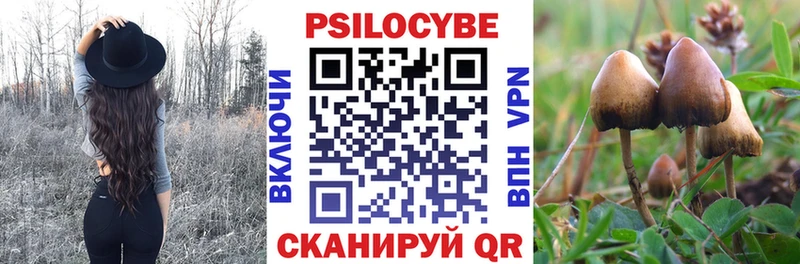 Галлюциногенные грибы Psilocybe  МЕГА   Ак-Довурак 